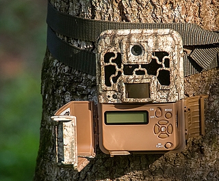 Ein Mann soll eine Wildkamera gestohlen haben, die ihn dabei fotografierte. (Symbolfoto: Pixabay)