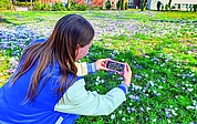 Blickfang und beliebtes Fotomotiv: Doch die Krokuswiese vor Elmshorns Rathaus entspricht nicht den geltenden EU-Vorgaben für öffentliches Grün. Die Stadt Elmshorn soll die Wiese roden und deutlich vielfältiger bepflanzen, um Vorschriften zur Artenvielfalt zu genügen. Auch andere Kommunen werden noch Post aus Brüssel erhalten. (Foto: Strandmann)