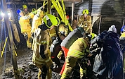 Aller Einsatz war am Ende vergebens: Das eingesunkene Pferd war so geschwächt, dass es trotz Hilfe nicht mehr auf die Beine kam und eingeschläfert werden musste. (Foto: Feuerwehr Halstenbek)