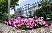 Private Unternehmen haben aufgrund steuerlicher Abschreibungsmöglichkeiten bessere finanzielle Möglichkeiten als die Stadt, ein denkmalgeschütztes Gebäude wie das Rathaus für eine Nachnutzung fit zu machen. Doch die Zeit, geeignete Konzepte und Investoren zu finden, drängt. (Foto: Strandmann/Archiv)