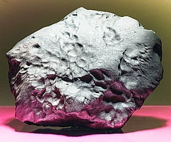 Der Meteorit „Elmshorn“ ist ein Highlight für Wissenschaft wie Bürger. (Foto: LIB, B. Pichelmann)