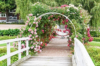 Von der Südseite aus Richtung der Straße Am Mühlenteich ist die Hochzeitsinsel wieder offen. Auf der Nordseite beim Parkhotel Rosarium verhindern aber weiterhin Absperrgitter den Zugang. (Foto: Frank)