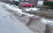 Der unbekannte Täter fuhr durch die Hecke und prallte gegen den roten Seat. Die Polizei schätzt den Sachschaden auf 8000 Euro am Auto und 200 Euro an der Hecke. (Foto: Deiters)