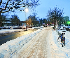 Der Probstendamm in Elmshorn ist fast menschenleer. (Foto: Strandmann)