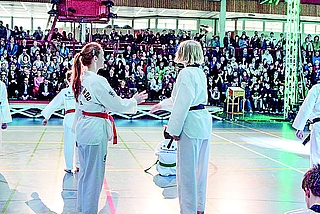 Sportanlagen zu unterhalten, kostet mehr Geld als vor Corona. Die Elmshorner SPD beantragt, die Stadt solle Vereine mit eigenen Räumen und Plätzen dabei stärker unterstützen. (Foto: Strandmann/Archiv)