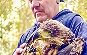 Viel Geduld war notwendig, um den Seeadler wieder in die Freiheit entlassen zu können. (Foto: Wildtierstation)