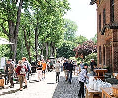 Historische Treckermodelle und vieles mehr konnten die Besucherinnen und Besucher am vergangenen Montag beim 30. Deutschen Mühlentag rund um die Rantzauer Wassermühle sehen und erleben. (Foto: Meyer-Lutz)