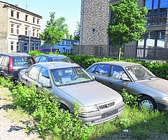 Ein privates Grundstück am Osterfeld bei den Knechtschen Hallen: Dort stehen 13 abgemeldete, teils vermüllte und defekte Fahrzeuge. Einige wachsen langsam zu. Die Stadt sagt, sie könne nicht eingreifen. (Foto: Frank)